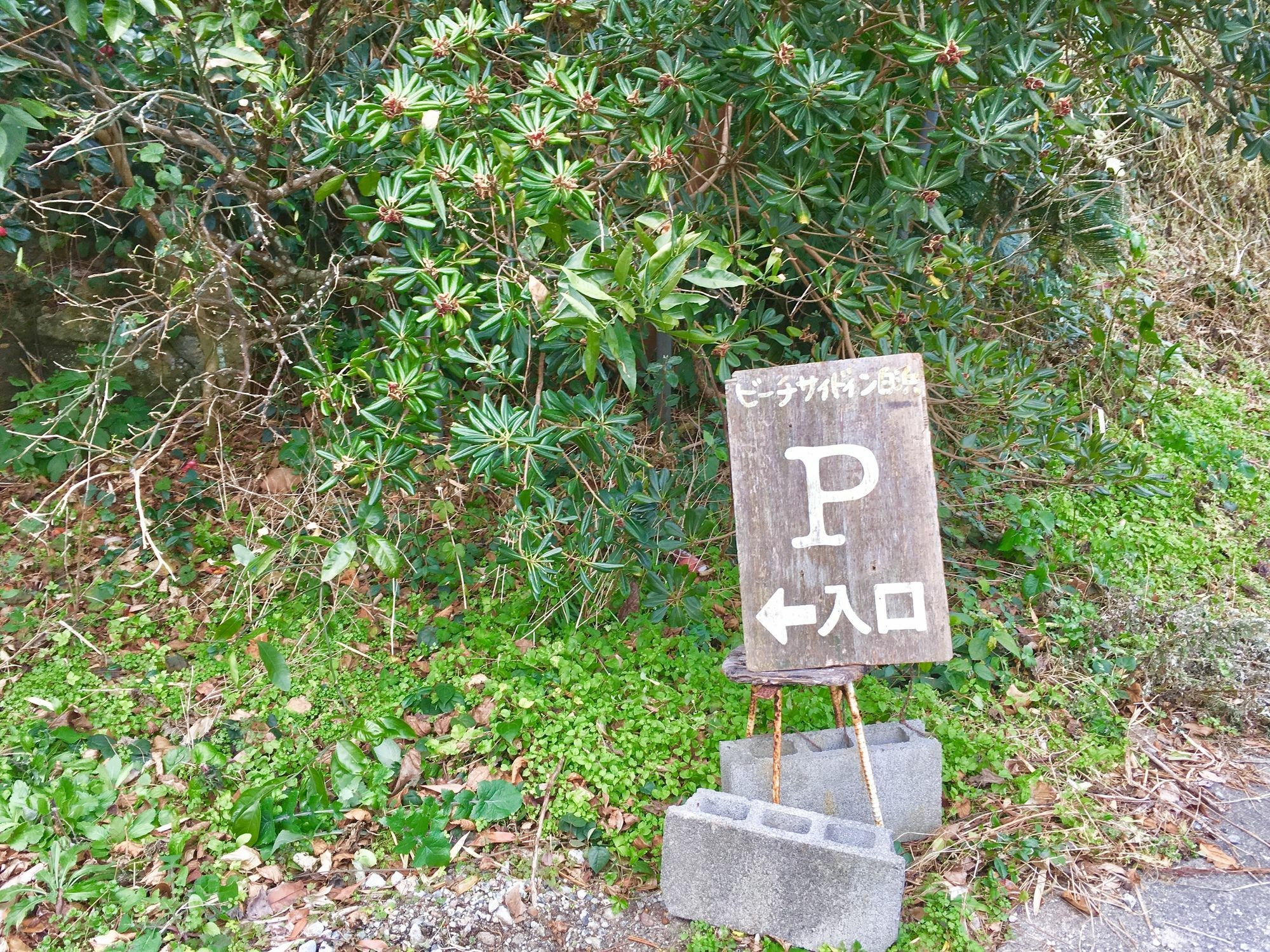 Beach Side Inn Shirahama Shimoda  Dış mekan fotoğraf